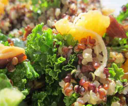 Kale Salad with Quinoa
