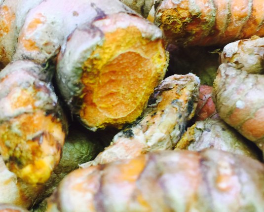 image edit_5_9835441969